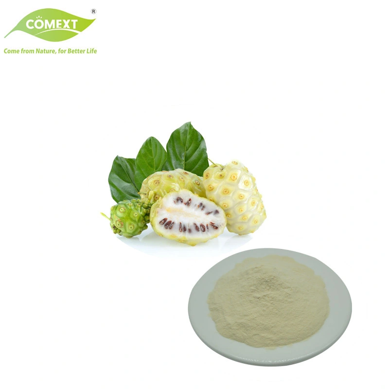 Comext Anti-Tumor Activity Plant Extract Morinda Citrifolia Extract / Pure Noni Fruit Extract Free Sample